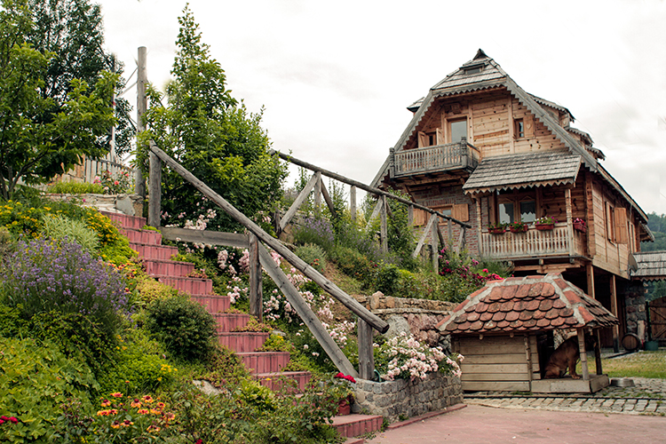 Brvnara Mustra 06