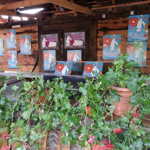 Sabor trubača 2013