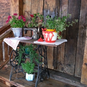 Sabor trubača 2013