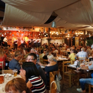 Sabor trubača 2017